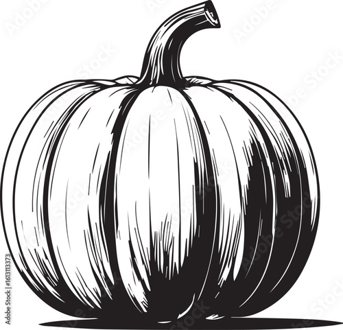 Autumnal Pumpkin's Rustic Grace: A monochrome image of a plump pumpkin, embodies the spirit of autumn and harvest with intricate details. A classic symbol of abundance and the season's charm.