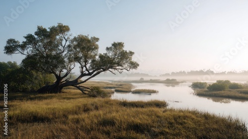 Serene marshland scenery with a solitary tree under a hazy morning sky