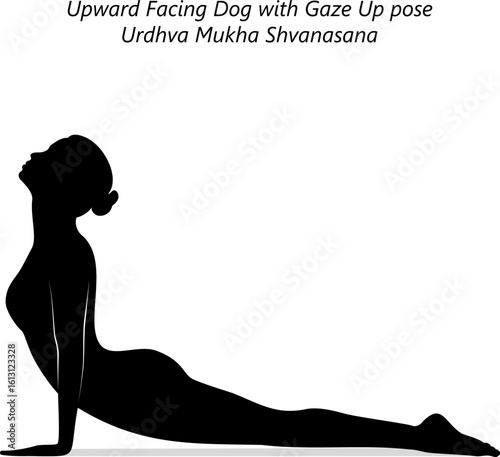 Silhouette of woman practicing Urdhva Mukha Shvanasana yoga pose. Upward Facing Dog yoga pose. Isolated vector illustration