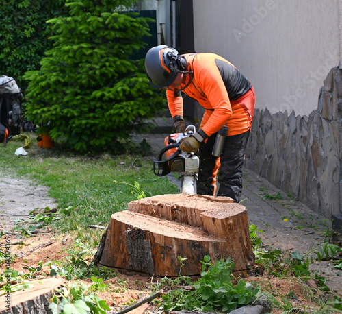 Tree service professional cuts through large tree stump using chainsaw in residential yard