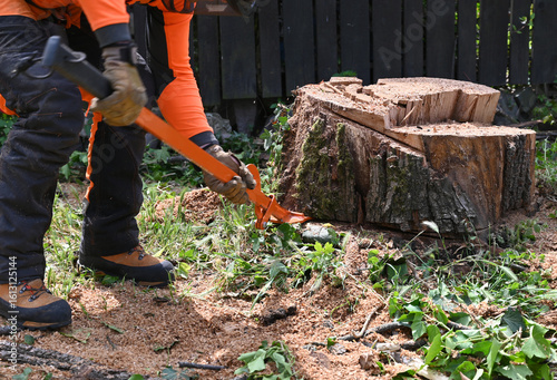 Canvas Print Tree stump removal activity in a backyard garden during daylight by a worker usi