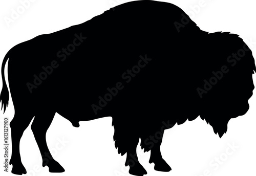 Black bison silhouette american wildlife icon
