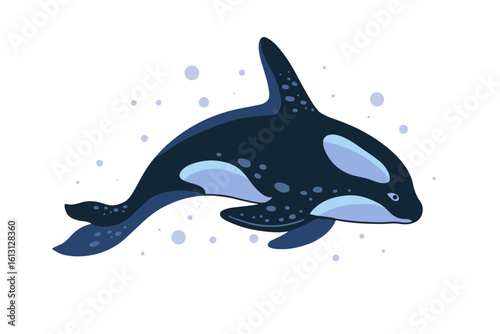 Killer whale swims among air bubbles on a white background. Mammal for the encyclopedia of the inhabitants of the oceans, the design of books, postcards, textiles. Orca whale vector illustration.