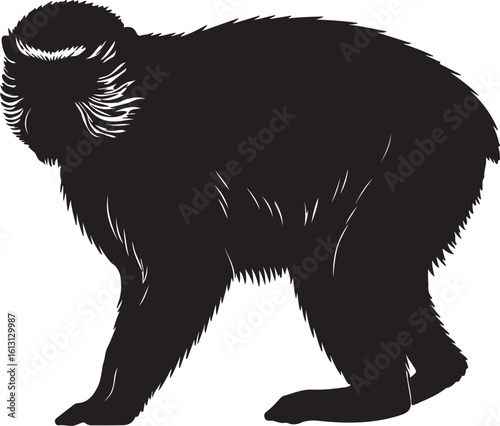 Patas Monkey in silhouette image white background.