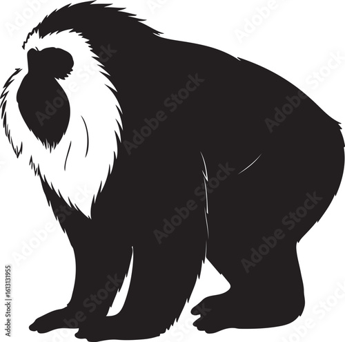 Pig-tailed Macaque monkey in silhouette image white background.