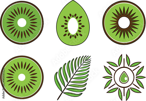 Collection of fresh kiwi slices and a leafy branch