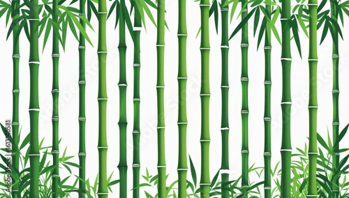 Green Bamboo Forest Grove Background