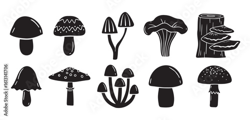 mushrooms silhouette monochrome with patterns illustration set. Trendy mushroom creative fabulous mystic folklore collection