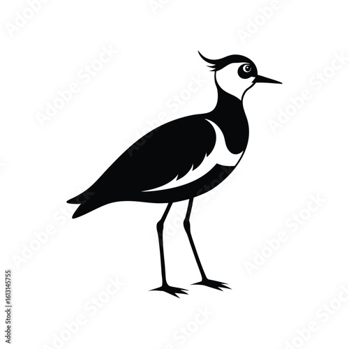 silhouette of a lapwing