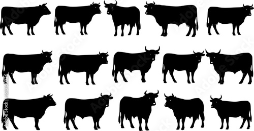 cow silhouette Vector set, cattle silhouettes, diverse breed of cows. Ideal for farm, ranch branding. Perfect for logos, decals. Black, white background. Bulls, cows, standing, walking, running