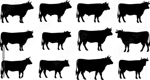 cow silhouette Vector set, cattle silhouettes, diverse breed of cows. Ideal for farm, ranch branding. Perfect for logos, decals. Black, white background. Bulls, cows, standing, walking, running