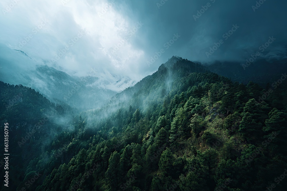 Misty mountain range, dense forest canopy Misty mountain range, dense forest canopy