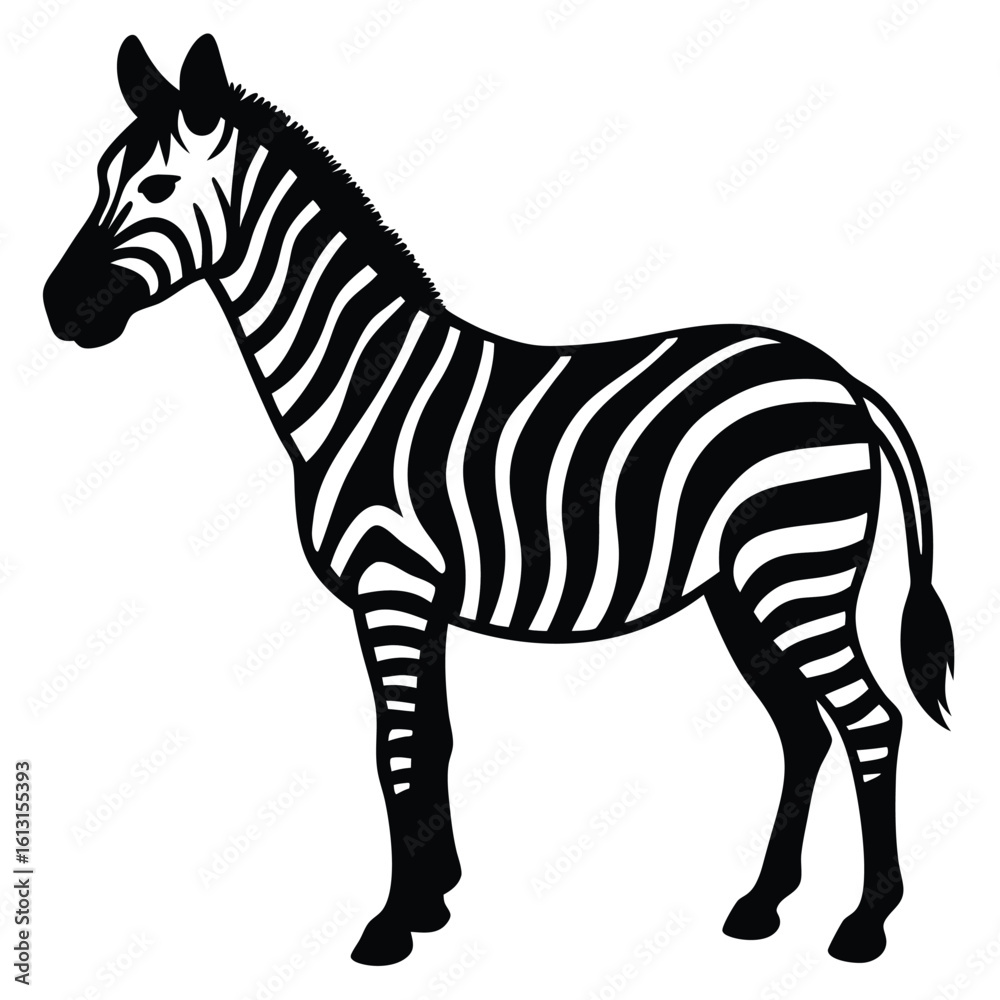 Obraz premium Black and white graphic illustration of a zebra standing animal wildlife