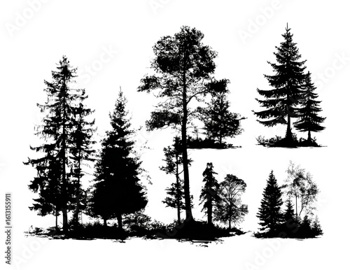 Silhouetted forest trees natural landscape graphic elements artistic environment isolated on transparent background, png
