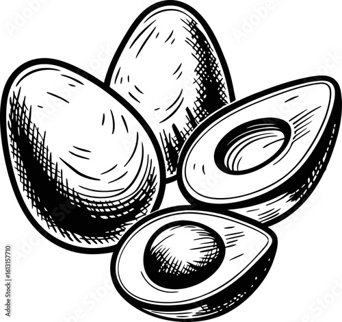 Hand drawn avocados, whole and halved fresh tropical fruit illustration for healthy food, vegan, vegetarian, nutrition concepts
