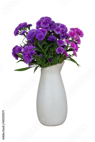 Purple and pink Chrysanthemum or Dendranthemum flower in white vase isolated on white background included clipping path.