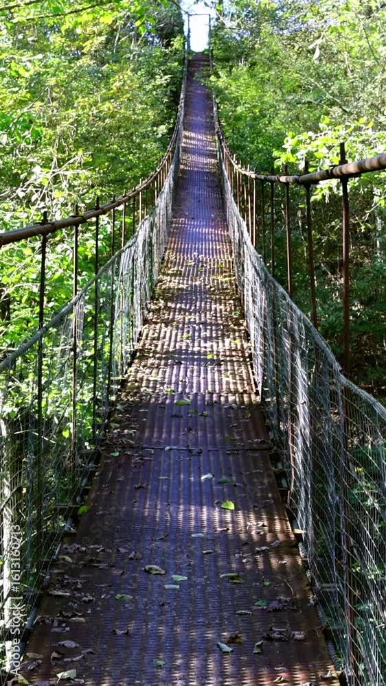 an iron suspension bridge on steel cables in a forest among tree branches in green foliage on a sunny summer day, 4k vertical video an iron suspension bridge on steel cables in a forest among tree branches in green foliage on a sunny summer day, 4k vertical video