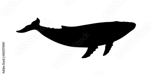 Blue whale silhouette vector flat illustration design.