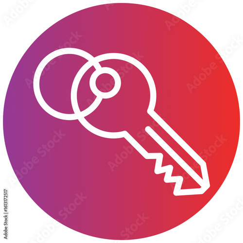 Room Key Line Icon Style