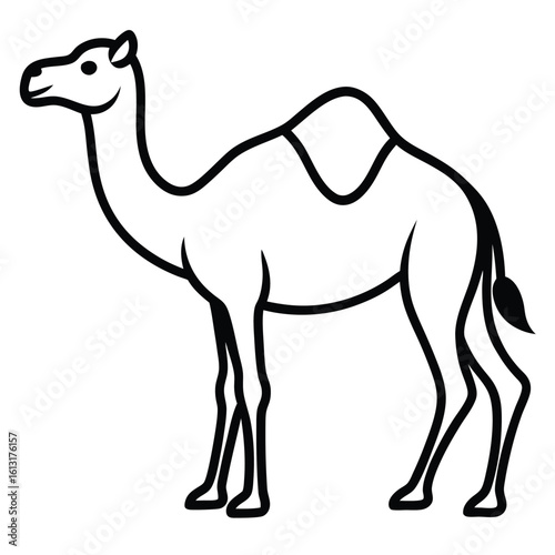 Black and white outline illustration of a dromedary camel animal wildlife