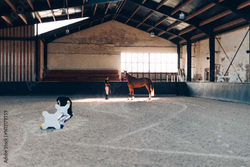 Fotografia Horsewoman training a horse in a covered riding arena