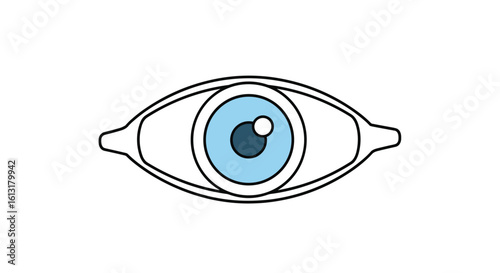 Understanding the Human Eye Its Structure Function and Common Vision Issues