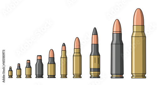 A Visual Comparison of Cartridge Sizes From Small Caliber to Large Caliber Ammunition