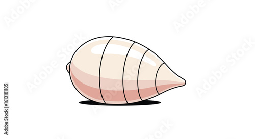 A Light Colored Larva Shell Cocoon Like Object with Subtle Segmentation and a Shadow Beneath