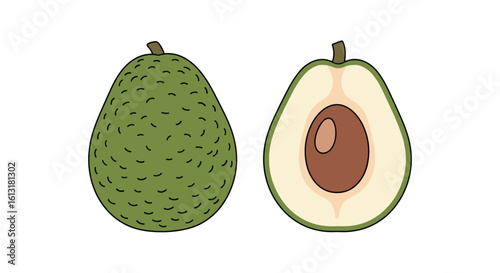 Whole and Halved Avocado Healthy Food Illustration Natural Organic Fruit