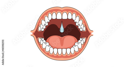 Anatomy of the Human Mouth Showing Teeth Gums Tongue and Saliva Droplet