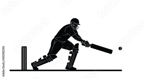 Cricket Player Batting Action Sport Silhouette Athlete Stance Dynamic Movement