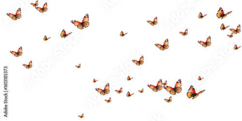 Adobe Illustrator Artwork