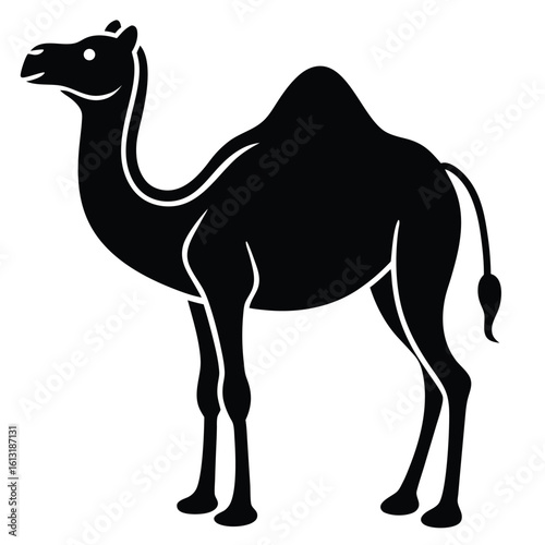 Black silhouette of a dromedary camel standing on a white background vector