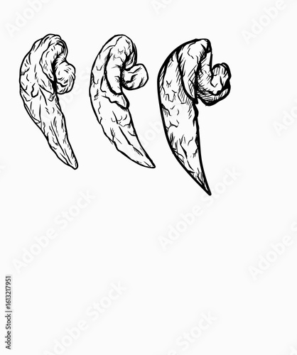 chicken wings illustrations cartoon logo for fried chiken wing.