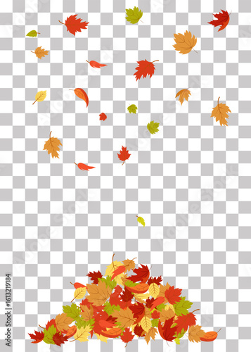 Autumn leaves piled up. Falling leaves Autumn foliage Colorful tree leaves on transparent background Autumn illustration Vector
