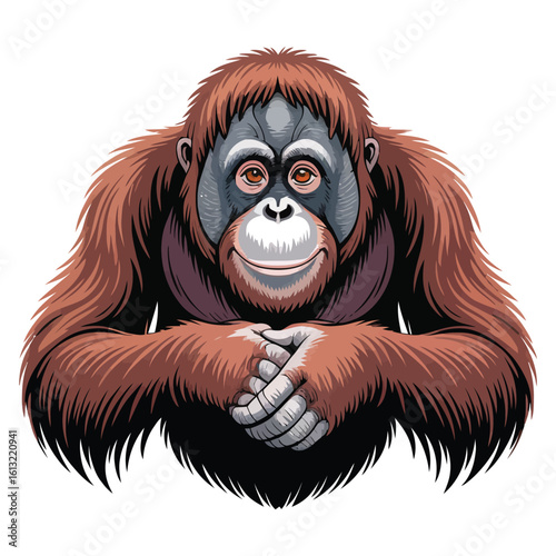 Chimpanzee