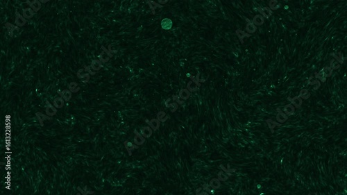 Falling stars loop. falling snowflakes seamless background in HD