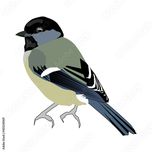 Illustration of a great tit bird with black head and yellow belly standing on its feet looking left