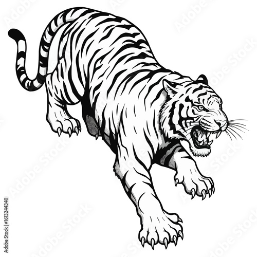 tiger  tattoo vector illustration