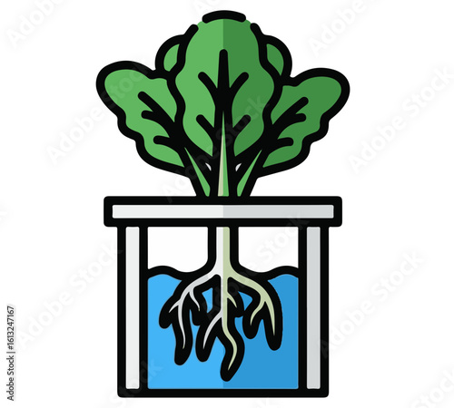 Hydroponic spinach plant growing in a nutrient solution, showcasing its roots and leaves.