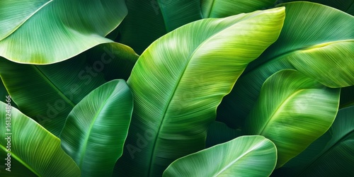 A seamless pattern of layered green banana leaves in diffuse daylight, ideal for botanical and nature-inspired backgrounds or print designs.