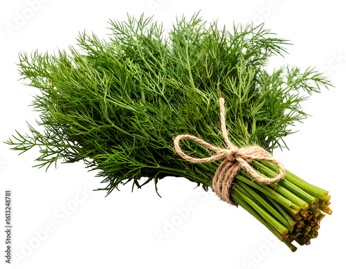 Bunch of fresh green herbs tied with string on a black background, isolated, studio shot