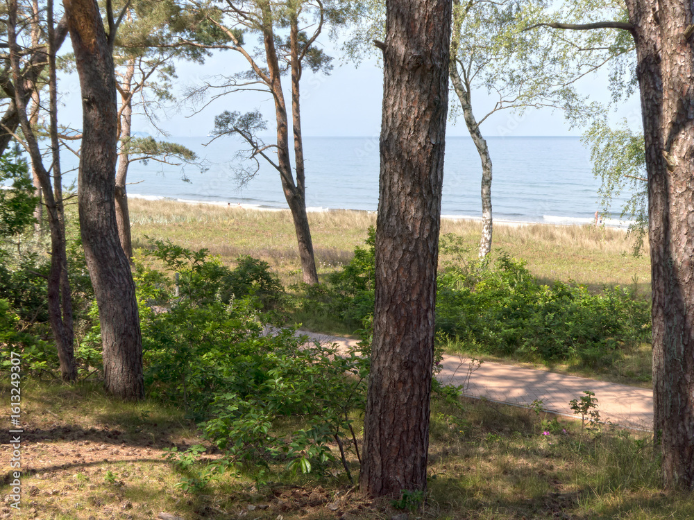 Fototapeta premium die Ostseeküste auf Rügen bei Sellin