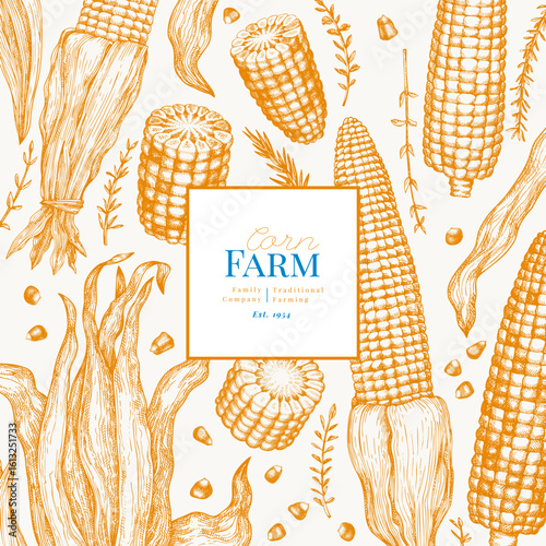 Hand Drawn Vector Sweet Corn Illustration. Not AI Generated. Autumn Seasonal Background. Fall Season Farm Banner. Vintage Harvest Design Template.