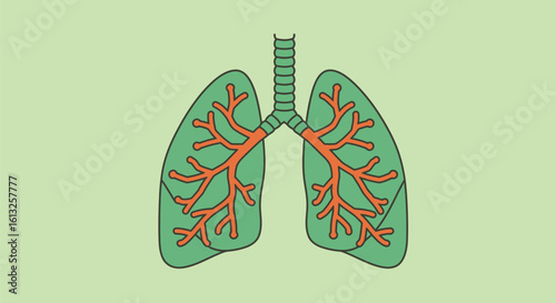Illustration of Healthy Lungs