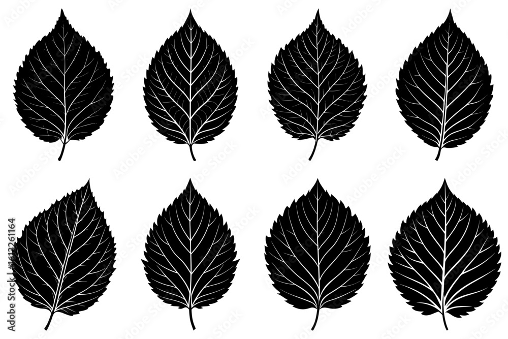 Obraz premium Illustration of eight black leaves with detailed venation arranged in two rows on a white background