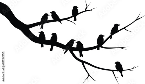 A flock of small birds perched on a bare tree branch in a striking silhouette