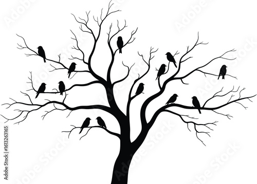 Bare tree branches with many birds perched in silhouette against a white background