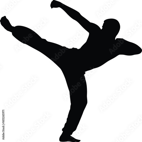 Dynamic martial arts fighter executing a powerful side kick in a striking silhouette