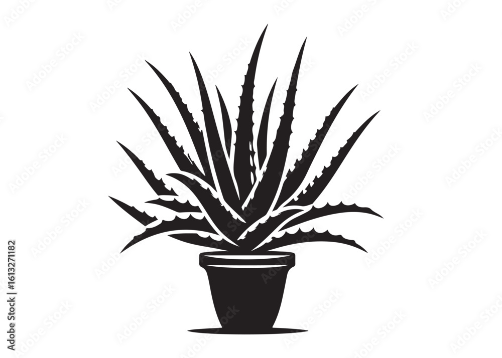 aloe vera plant logo silhouette vector, aloe vera tree logo silhouette vector design, black aloe vera plant silhouettes succulent botanical, aloe vera leaves logo vector silhouette on white background aloe vera plant logo silhouette vector, aloe vera tree logo silhouette vector design, black aloe vera plant silhouettes succulent botanical, aloe vera leaves logo vector silhouette on white background